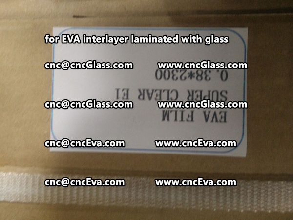 glass eva film packing for shipping by sea (20)