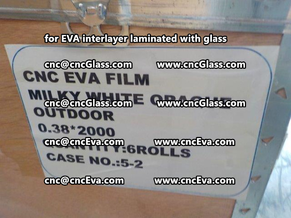 glass eva film packing for shipping by sea (4)
